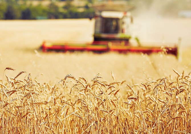 Galanakis AgriCulture