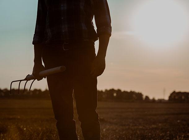 agriculture